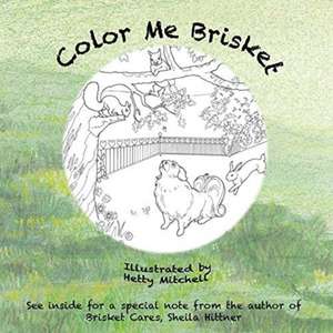 Color Me Brisket de Sheila Hittner