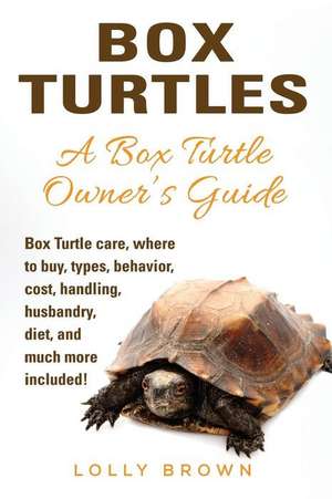 Box Turtles de Lolly Brown