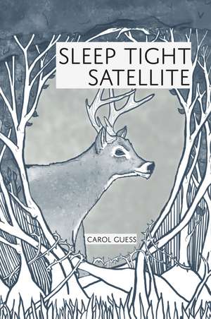 Sleep Tight Satellite: Stories de Carol Guess