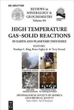 High Temperature Gas-Solid Reactions in Earth and Planetary Processes de Penelope King