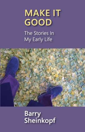 Make It Good: The Stories in My Early Life de Barry Sheinkopf