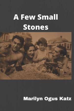 A Few Small Stones de Marilyn Ogus Katz