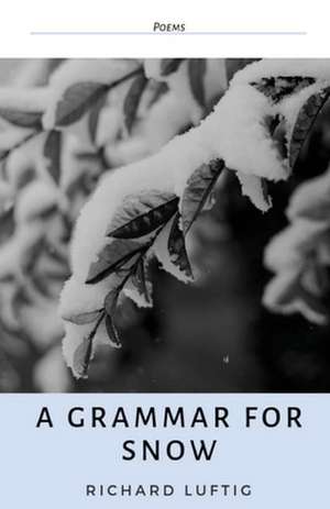 A Grammar for Snow de Richard Luftig