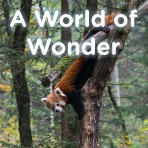 A World of Wonder de Brent A Ford