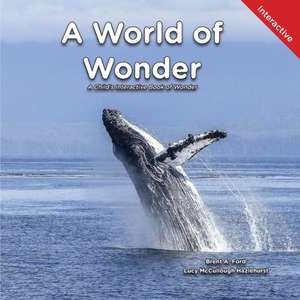 A World of Wonder: A Child's Interactive Book of Wonder de Brent A. Ford