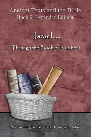 Israel... Through the Book of Numbers - Expanded Edition de Ahava Lilburn