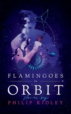 Flamingoes in Orbit de Philip Ridley