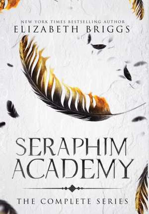 Seraphim Academy de Elizabeth Briggs