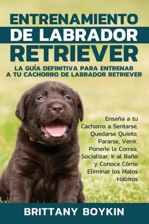 Entrenamiento de Labrador Retriever de Brittany Boykin