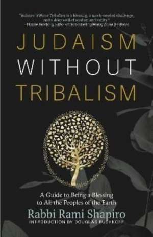 Judaism Without Tribalism de Rami Shapiro