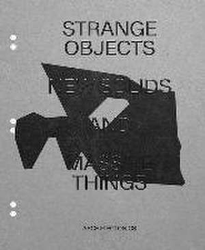 Strange Objects, New Solids and Massive Things de Winka Dubbeldam