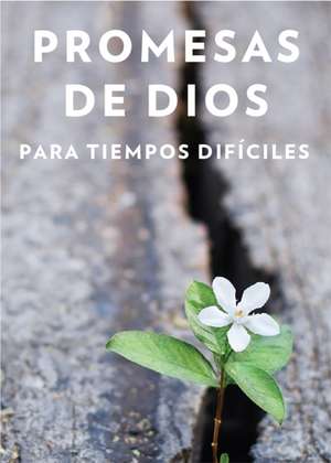 Promesas de Dios Para Tiempos Difíciles / God S Promises When You Are Hurting de Jack Countryman