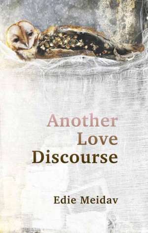 Another Love Discourse de Edie Meidav