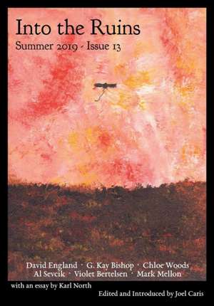 Into the Ruins: Summer 2019 (Issue 13) de G. Kay Bishop