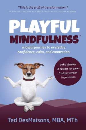 Playful Mindfulness: a joyful journey to everyday confidence, calm, and connection de Ted Desmaisons