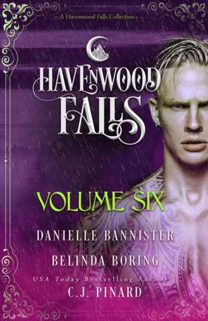 Havenwood Falls Volume Six: A Havenwood Falls Collection de C. J. Pinard