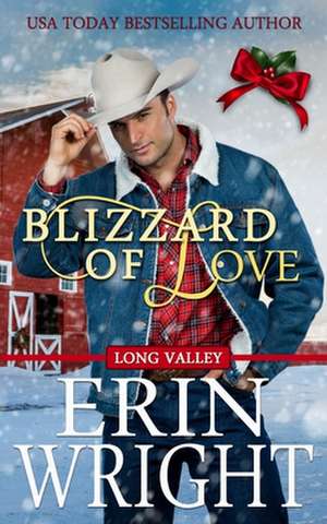 Blizzard of Love de Erin Wright