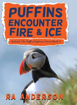 Puffins Encounter Fire and Ice de Ra Anderson