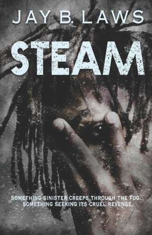 Steam de Jay B Laws