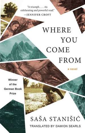 Where You Come from de Sasa Stanisic