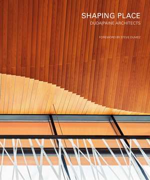 Shaping Places de Paine