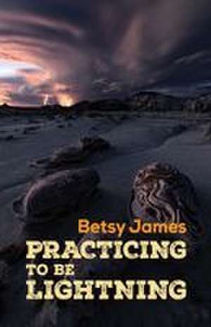 Practicing to Be Lightning de Betsy James