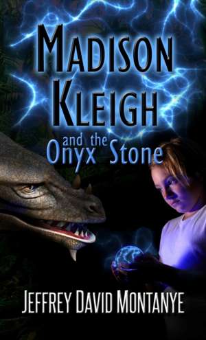 Madison Kleigh and the Onyx Stone pocket edition de Jeffrey David Montanye