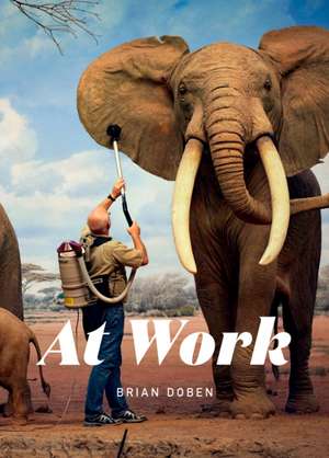 At Work de Brian Doben