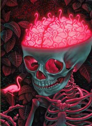 The Birdbrain: A Jigsaw Puzzle by Casey Weldon de Casey Weldon