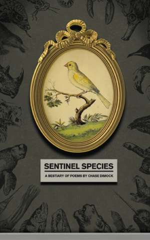 Sentinel Species de Chase Dimock