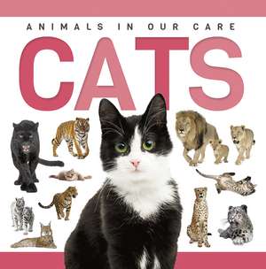 Cats de Rebecca Phillips-Bartlett