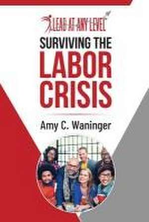 Surviving the Labor Crisis de Amy C. Waninger