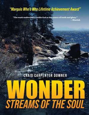 Wonder Streams of the Soul de Craig Carpenter Downer