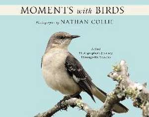 Moments with Birds: A Bird Photographer's Journey Through the Seasons de Nathan Collie