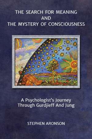 The Search For Meaning and The Mystery of Consciousness de Stephen Aronson