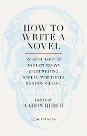 How to Write a Novel de Aaron Burch