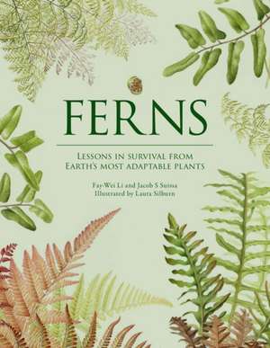 Ferns de Fay-Wei Li