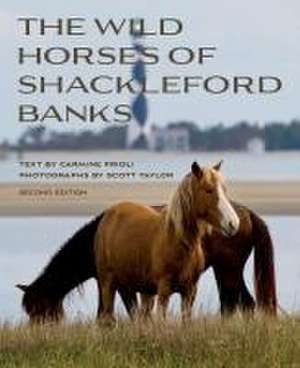 Wild Horses of Shackleford Banks de Carmine Prioli