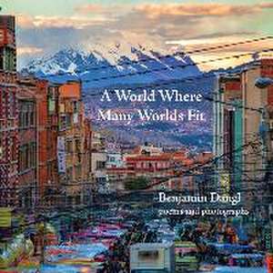 A World Where Many Worlds Fit de Benjamin Dangl