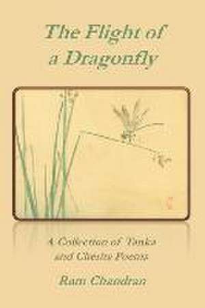 The Flight of a Dragonfly de Ram Chandran