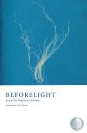 Beforelight de Matthew Gellman