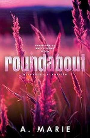 Roundabout Discreet Cover de A. Marie