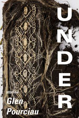 Under: Stories de Glen Pourciau