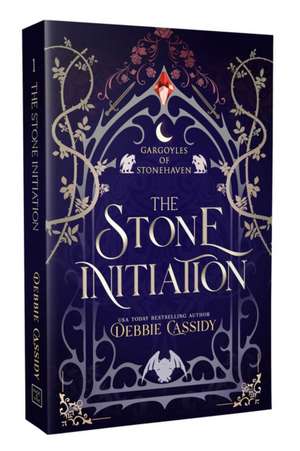 The Stone Initiation de Debbie Cassidy