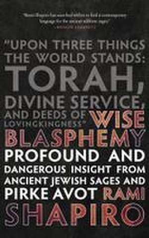 Wise Blasphemy de Rami Shapiro