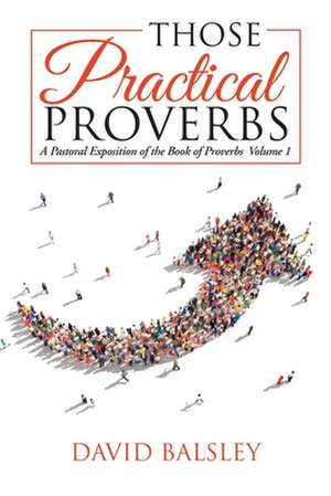 Those Practical Proverbs de David Balsley