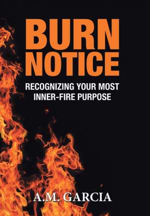 Burn Notice de A. M. Garcia