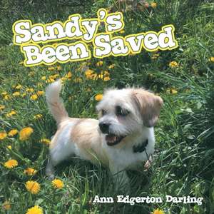 Sandy's Been Saved de Ann Edgerton Darling