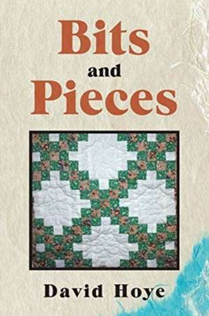 Bits and Pieces de David Hoye