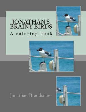 Jonathan's Brainy Birds de Brandstater, Jonathan Jay